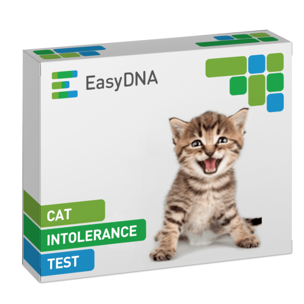 Cat Intolerance